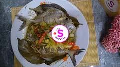 Tim Ikan Bawal